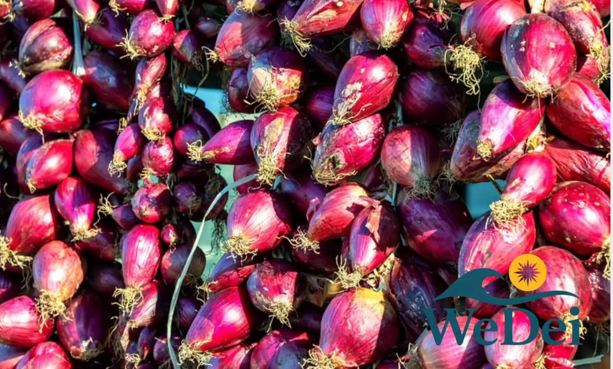 Sagra della Cipolla Rossa di Tropea